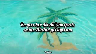 Trapdoor Social - Sunshine (Türkçe Çeviri)