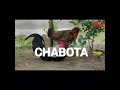 JEMAX CHABOTA Video Starship Music