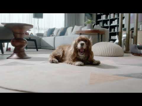 Hi! This is DEEBOT OZMO T8 AIVI