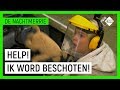 SCHOTEN GELOST OP DIANA (D IS FOR DAZZLE) | De Nachtmerrie | NPO Zapp