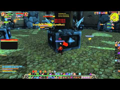 BM HUNTERS #OP | WoW ARENA | Highlight