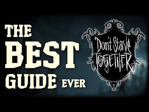The Best Don't Starve Together Guide