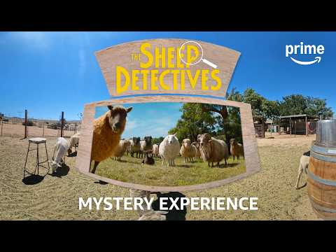 Winter Lamb Mystery Experience