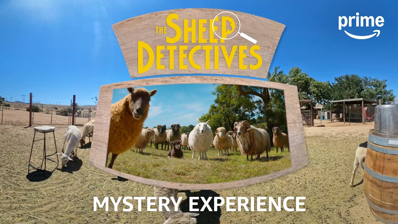 THE SHEEP DETECTIVES | Winter Lamb Mystery Experience | Prime Video