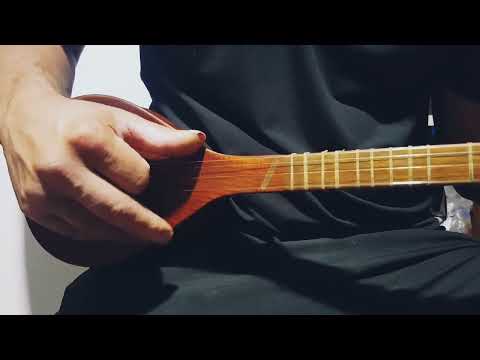 Playing the setar with the instrument of Master Hatef Malekshahi