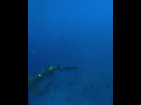 To Achieve Great Things You Have To Leave Your Comfort Zone.