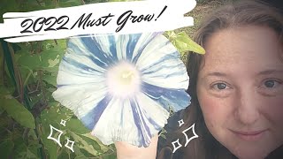 How to Save Morning Glory Seeds: Harvesting Keiryu Mountain Stream Morning Glory Flower Seed Pods!