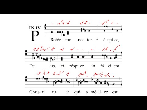 Introitus: Protector noster