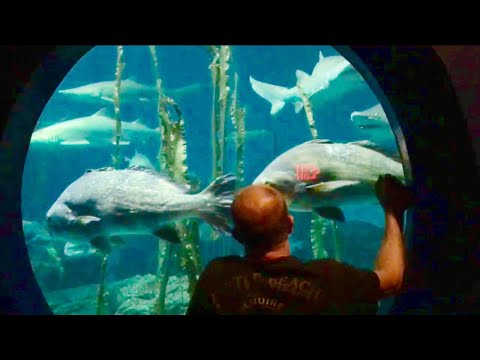 Aquarium | Norfolk, Connecticut