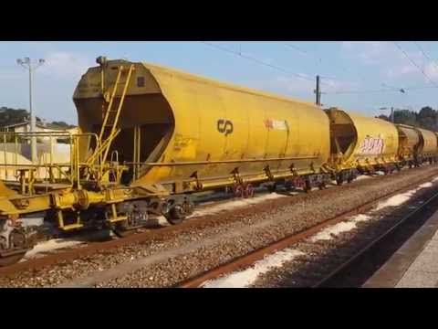 "Ramalhal" nas estações de Louriçal e Amieira