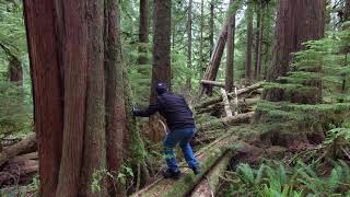 Testing the tracking drone, in sasquatch county.