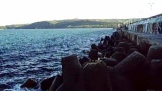 Paradise Lost  - Harbour