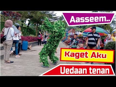 baturaden-kaget-tertawa-prank-lucu-manusia-pohon-baturraden-purwokerto-part-2