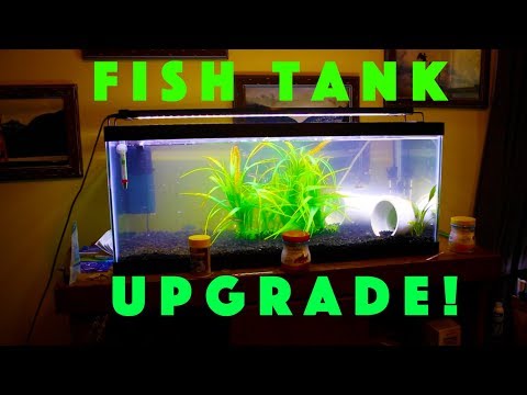 Redesigning the Corydoras/Danio tank!