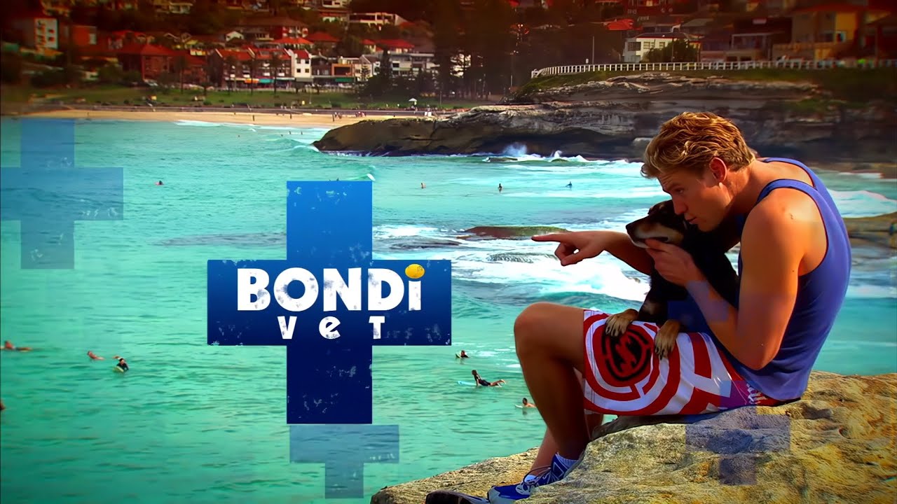 Bondi Vet - 4k - Opening credits - 2009-2016 - Network Ten
