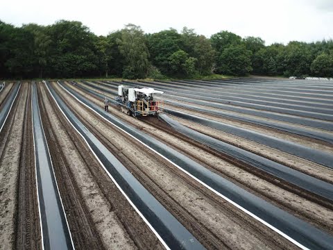 Cerescon Sparter 1 row self propelling season 2020