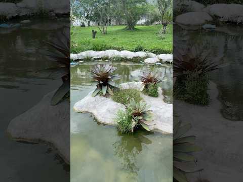 Condomínio Reserva do Sahy Mangaratiba - Rio de Janeiro