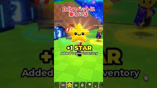 【卵を盗む】新アプデはマ◯オカート！？スター機能でペットに乗れるように！#ロブロックス #roblox#stealanegg #卵を盗む #gaming