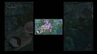 水の上で料理してみた  モンハンワイルズ #モンハン #ゲーム実況 #ゲーム