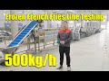 202109 500kg Fully Automatic Frozen Half Fried Potato French Fries Line Testing
