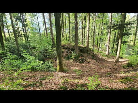 ERKUNDUNG EINER KREISFÖRMIGEN STRUKTUR