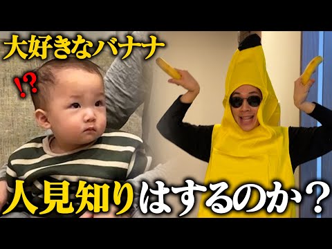 ミニぎしが大好物のバナナの格好したら反応が可愛すぎたwww