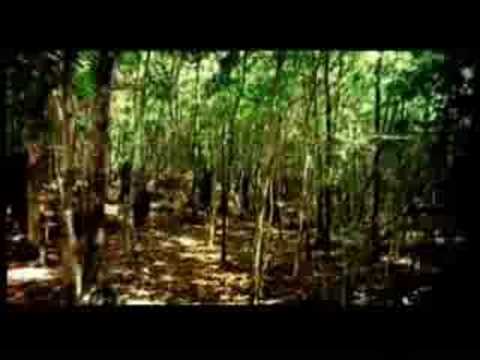 hot ones feat. cam'ron - good morning america