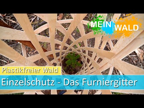 FURNIERGITTER aus Holz als Einzelschutz - Alternative