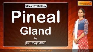 Chemical Coordination and Integration ( Pineal Gland ) - #CBSE Class 11 Biology