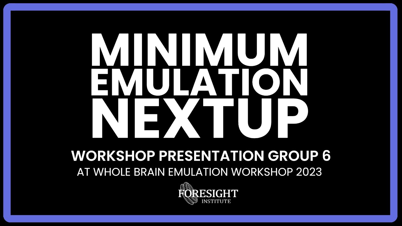 Workshop Presentation Group 6: Minimum Emulation Nextup @ Whole Brain Emulation Workshop 2023