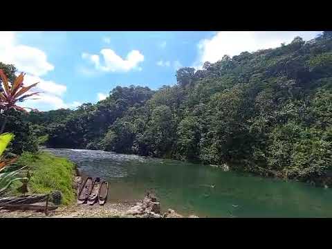 El Paso, Alto Condoto 🌴 | Un rincón escondido del Chocó 🌊✨