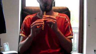 The Pogues Dingle Regatta @ DixonTrad High E brass Tin Whistle