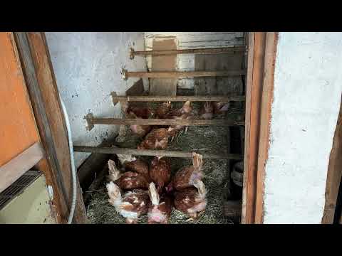 Развлекаемся как можем//