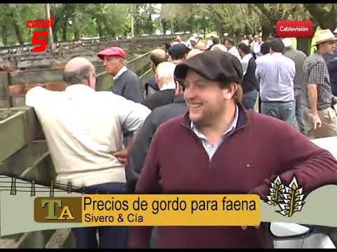 REMATE DE GORDO PARA FAENA DE SIVERO&CIA DEL 21-11-18 EN SALADILLO