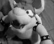 30 Second Interview With Bowser