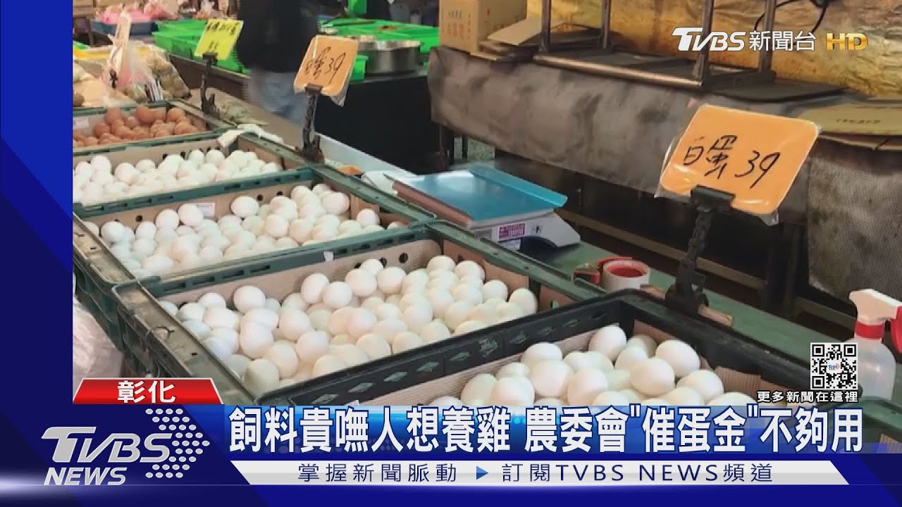 每斤飼料「補助3元」 郝龍斌批:去年才補助殺雞