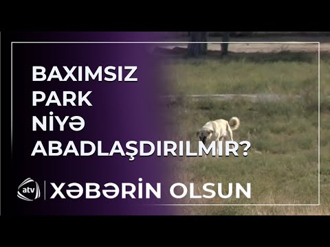 Baxımsız park niyə abadlaşdırılmır?