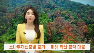 [Forest News : 2022년 10월 2주차] 포레스트 뉴스