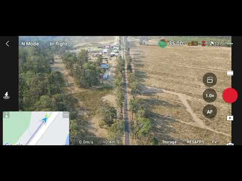 Wedge tail eagle attacking DJI drone