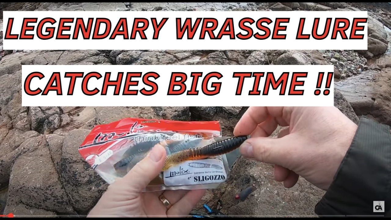 Wrasse Fishing UK -  Classic Molix Sligozzo catches Wrasse!