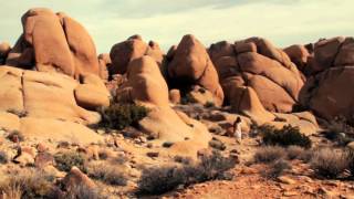 Eleanor Friedberger - "Your Word" (Official Music Video)