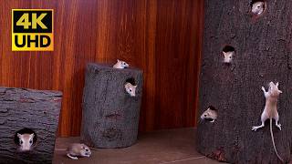 Cat TV Game Mice Climbing, Hiding & Peeking in Tree Trunks with real sound | 4K UHD