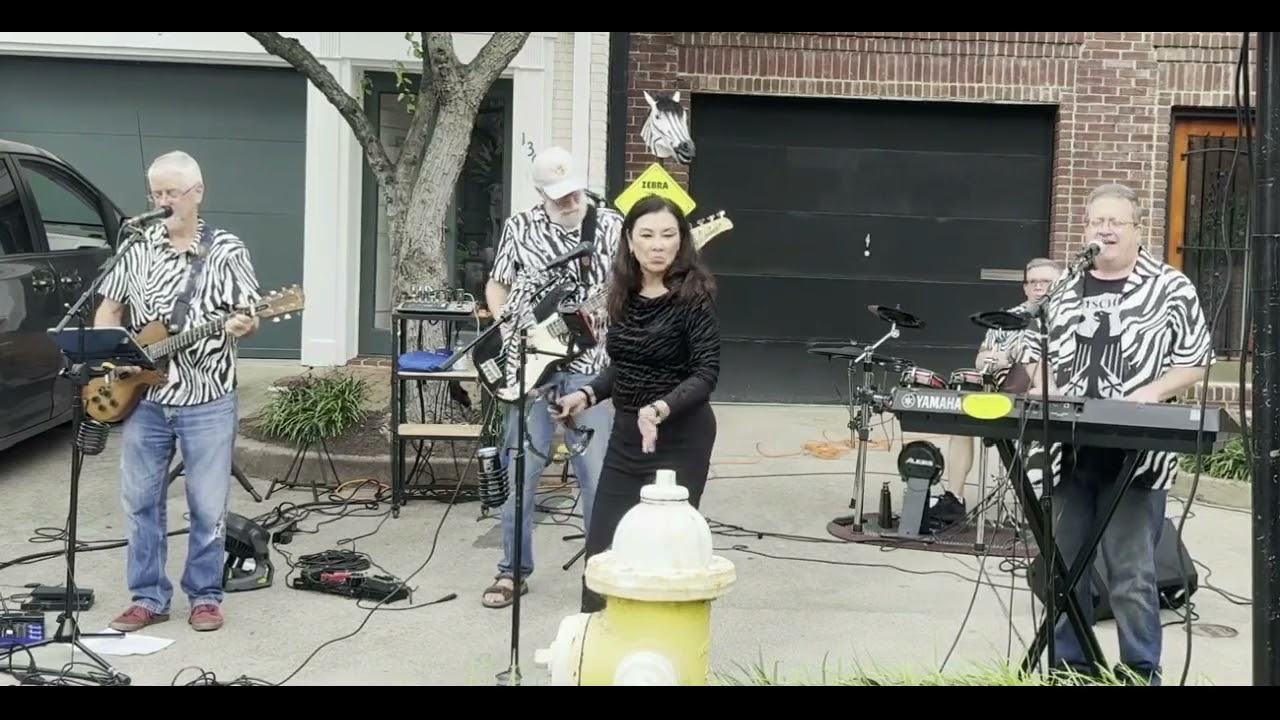 Promotional video thumbnail 2 for Zebra Crossing Band