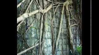 Black Uhuru - Botanical Roots (DUB MIX)