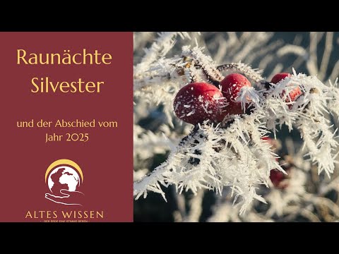 The Twelve Days of Christmas - New Year's Eve and the farewell to the year 2025