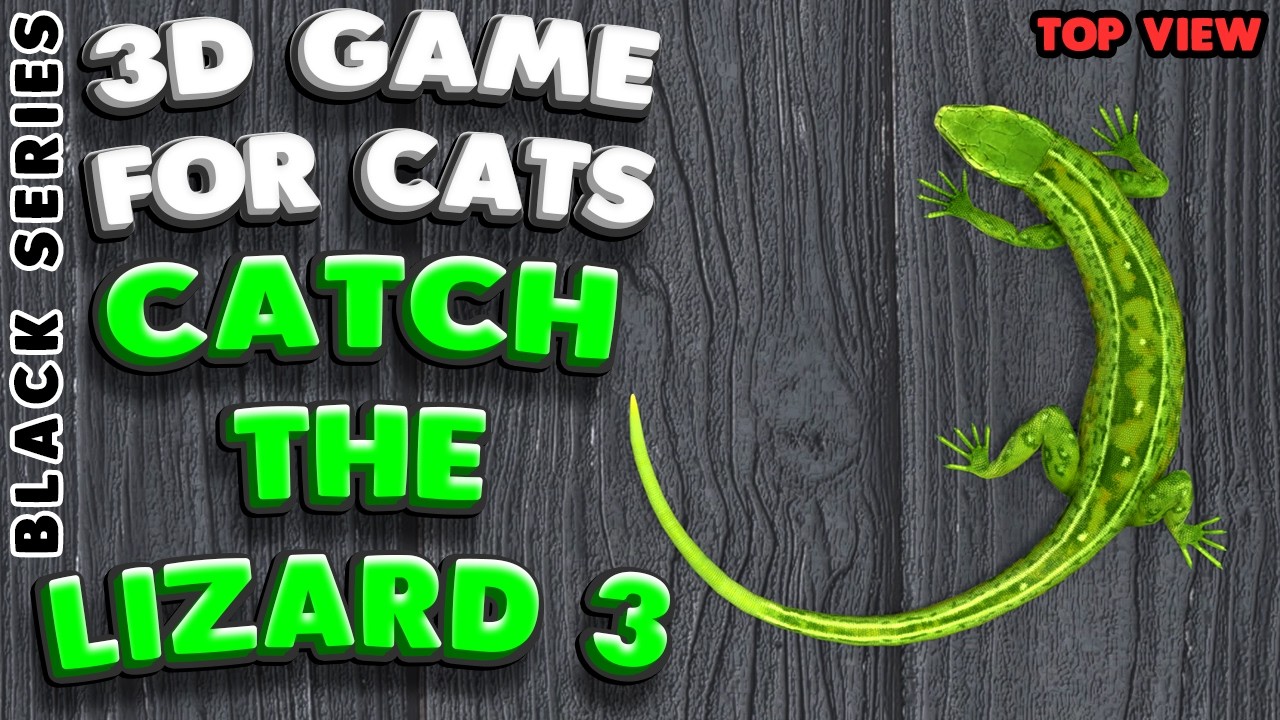 3D game for cats | CATCH THE LIZARD (top view) | 4K, 60 fps, stereo sound
