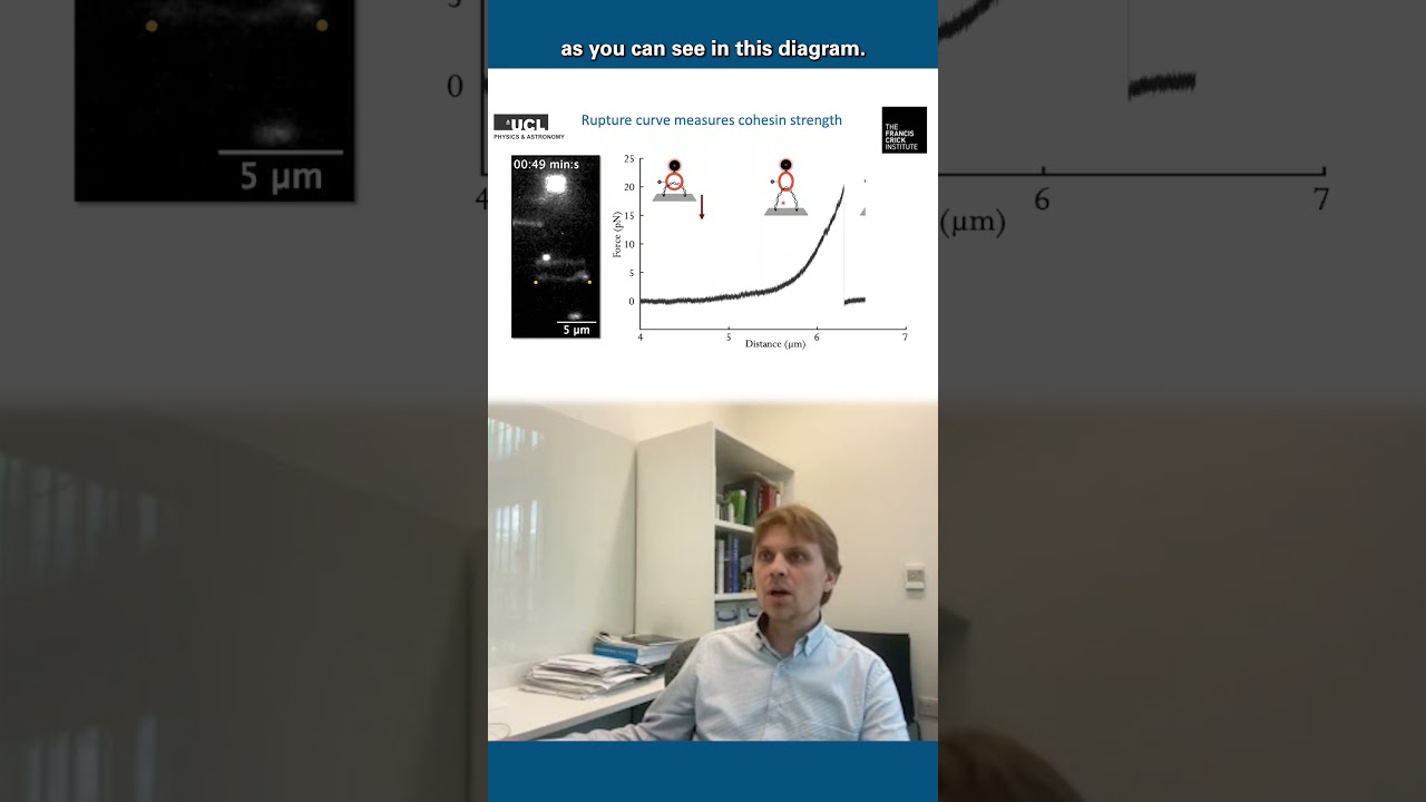 There’s more to DNA than the double helix! 🧬🧬 #nanotechnology #materialsscience #dna