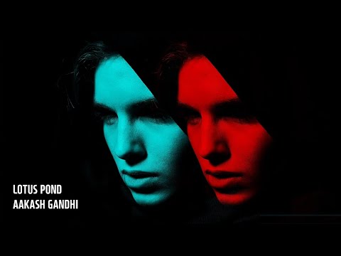 Lotus Pond - Aakash Gandhi | Ambient | Dramatic | 1Hour