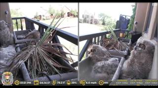 Principio would really like people to stop making noise.