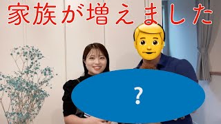 【ご報告】日本に帰ってきて1年経ち家族が増えました！！｜ボストン在住でした｜MBA留学｜完全帰国｜アメリカ｜
